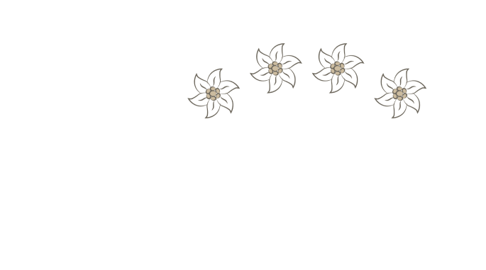 Wiesenhof Kappl Logo